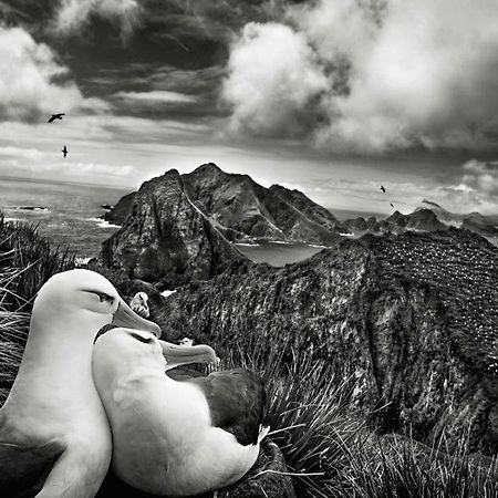 Les Mouettes Amoureuses Βίλα Louannec Εξωτερικό φωτογραφία